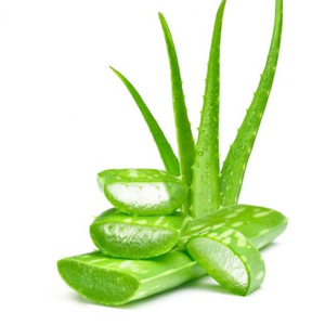 Aloe Vera Extract