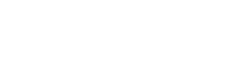 VIONIQ